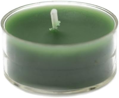 Zest Candle CTZ-015_12 600-Piece Tealight Candle, Hunter Green