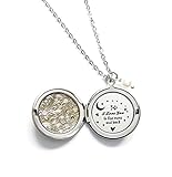 Anniversary Gift for Girlfriend or Wife I Love You to the Moon and Back Long Locket necklace