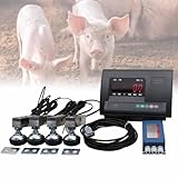 ZXINXIN Viehwagen-Set, hochpräzise Anzeige-Wägezelle Waage mit 4 Sensoren und 1 Kabelanschlusskasten, Bodenwaage mit Lastmesser für Tiere, Rinder, Ziegen, Schweine, Pferde, Schafe, 5000 kg