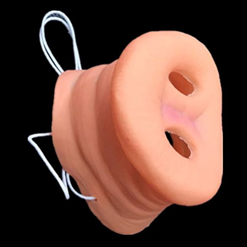 YeahiBaby Schwein Nase Maske mit Gummiband, interessante Tier Maske für Party, Satz von 2 Stück