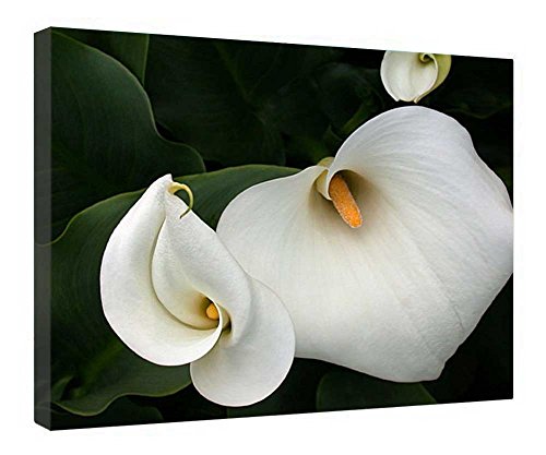 Lienzo de calas floral para llenar de paz tu salón con marco de madera