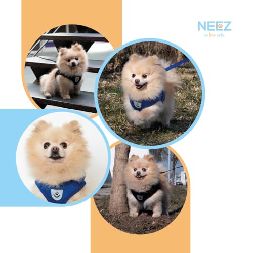 NEEZ Basic Geschirr für Katzen und kleine Hunde mit Leine | Super Bequeme Hundeweste | Ausbruchsicher und atmungsaktiv | Farbe: Grau Größe: S