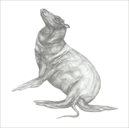 どうでもいい芸術のサムネイル