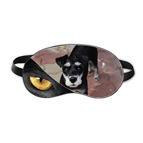 ̃ybĝ킢摜 xݖڂ̎Ռe