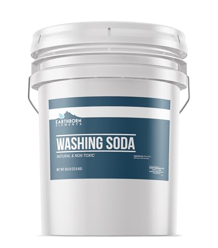 Earthborn Elements Washing Soda (5 Gallon), Soda Ash, Sodium Carbonate, Laundry Booster, Non-Toxic, Hypoallergenic