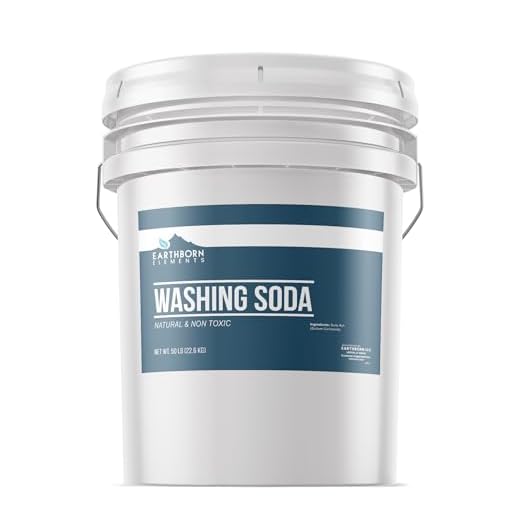 Earthborn Elements Washing Soda - 5 Gallon