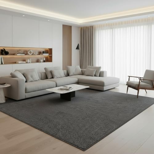 Jimri Moderner Teppich Wohnzimmer – Weich, Strapazierfähig & Pflegeleicht – Einfarbig Grau,...