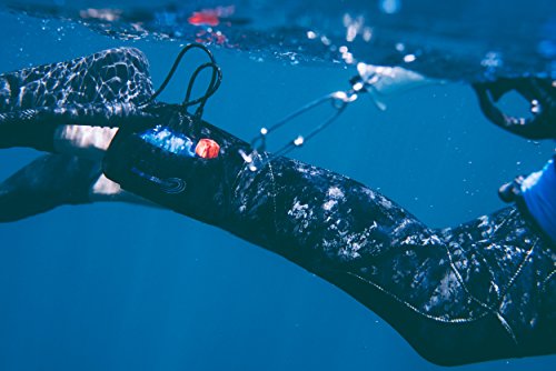 Ocean Guardian Freedom7 | Powered By Shark Shield Technology | Diving | Spearfishing | Kayaking | Scuba Diving | Proven Shark Deterrent | Dive Equipment #TOP5