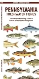 Pennsylvania Freshwater Fishes (Nature Observation North America)