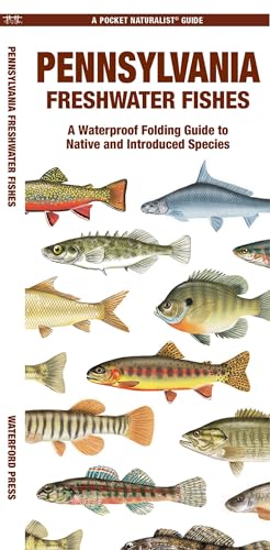 Pennsylvania Freshwater Fishes: A Folding Guide to Native and Introduced Species (Nature Observation North America)