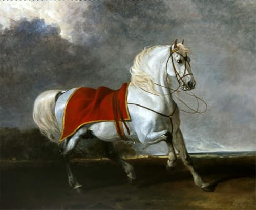 Tableau Moderne Abraham Destrier Gris Toile Chambre 60x90cm