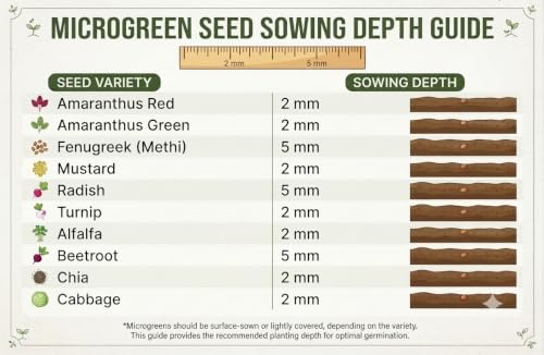 Image of Microgreen Seeds Kit | Pack of 10 Varieties - 10,000+ seeds | High Germination | Easy to grow