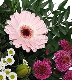 Blumenstrauß mit echten Blumen Muttertag mit Flora Trans versenden - zum Geburtstag - Lieferung 1-2 WERKTAGE