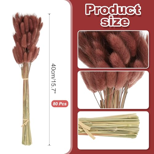 Queue de Lapin Herbe de la Pampa Naturel Fluffy | 80 Tiges de Fleurs Séchées Déco Marron