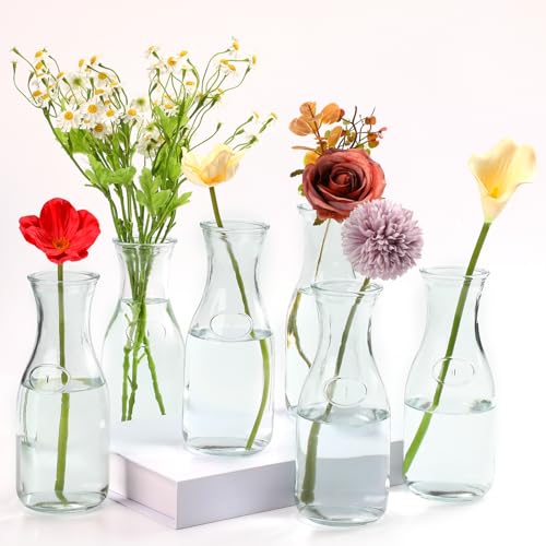 Ninehaoou 6 Pcs Milk Bottle Flower Vases 8