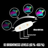 Zoom IMG-2 targa neon per cocktail luce Zoom IMG-2 targa neon per cocktail luce