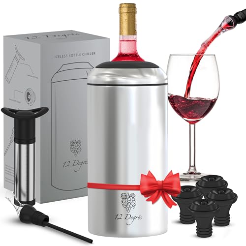 12 Degrés Wine Chiller Set - Perfect Wine Gifts for
