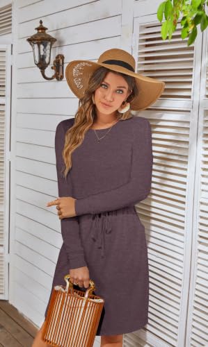 Image of Simier Fariry Womens Fall Long Sleeve Knee Length Casual Dress with Pockets