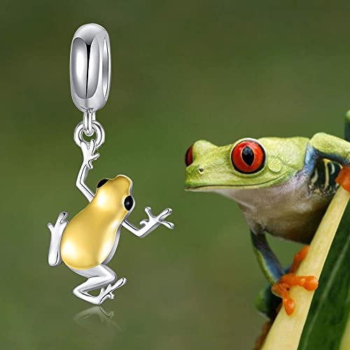 PELOVNY Frog Charm Bead for Bracelet 925 Sterling Silver Animal Jewelry Birthday Lucky Gift for Women Frog Lover4