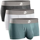 Real Men 3in Modal Boxer Briefs D Pouch 5xl 3pk SltGry/DrkHthrGry/Wht