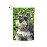 Miniature Schnauzer Garden Flag House Yard, Seasonal Banner With Vivid Color And Uv Fade Resistant F