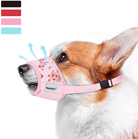 easy steps to potty train a puppy