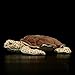Hawksbill Turtle Plush Toy - Simulation 11.5inch Lifelike Stuffed Animals, Sea Creeping Tortoise Plushie Toys , Super Soft Plush Dolls for Kids Stuffed Model Toys, Gifts for Kids