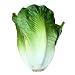 Produktbild Generic Künstliche Gemüse Fisch Obst Lebensmittel - Salat, 19cm
