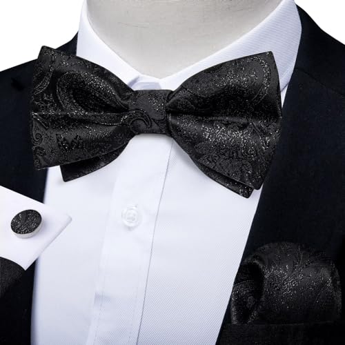 Set de pajarita clásica con diseño Paisley para hombre miniatura 2