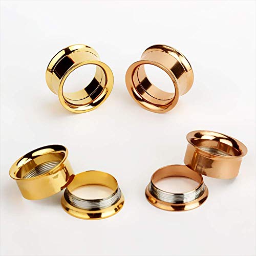 TBOSEN Set of 12 pcs Stainless Steel Ear Plugs Large Double Flare Alloy Gauges Stretching Screw Fit Tunnels Gauge 2g - 1 inch