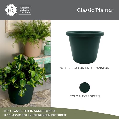 The HC Companies Classic Round Plastic Plant Pot w/Rolled Rim - Lightweight & UV Resistant Flower Pot for Herbs & More - Outdoor & Indoor Plant Pots w/Drainage (8.5 inch Evergreen, Pack of 1) - Thumbnail 2