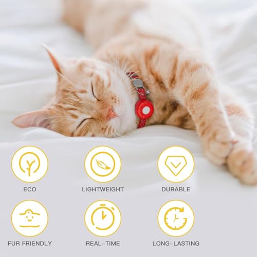 Cat Tracker, coleira rastreadora de gatos sem taxa mensal (apenas iOS), rastreador de animais de est