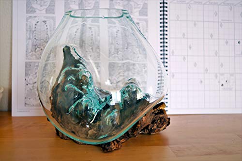 Cohasset Gift & Garden Natural Wood & Recycled Glass Molten Sculpture - Approximately 8\" Wide, Perfect as a Terrarium Container, Ecosphere or Terrarium Jar for Live Terrarium Plants