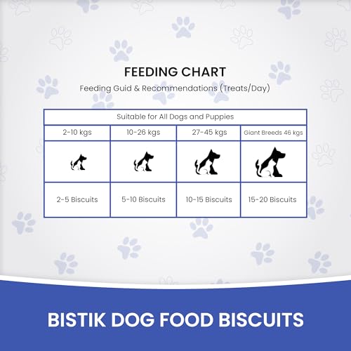 Image of Dr. Pets Pack of 2 (900g Each) Bistik Dog Biscuits Apple Banana Flavor | Gluten Free Dog Treats | Crunchy Daily Snacks for Puppies & Adult Dogs | Natural Ingredients | Supports Digestion & Bone Health