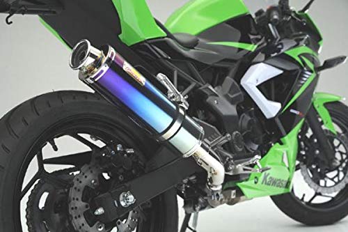 Amazon | Realize (リアライズ) カワサキ ニンジャ250SL (JBK-BX250A 
