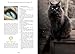 The Magick of Cats: The cat lover's guide to enchanted feline energy