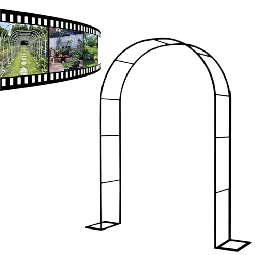 Arche de mariage en métal et treillis extérieur pour plantes grimpantes
