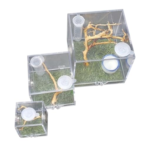 BESPORTBLE 3個 ダー 殖 ボックス ダー ージャー 餌 用