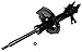 Monroe Shocks & Struts OESpectrum 72318 Suspension Strut