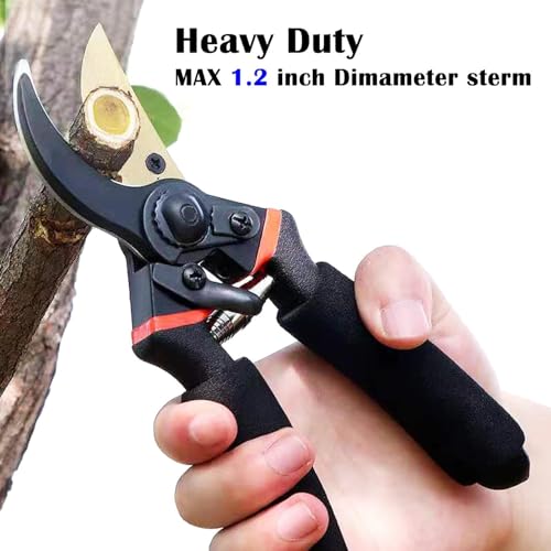 Image of 8-Inch Professional Bypass Pruning Shears - Titanium Coated SK5 Steel Secateurs with Soft Foam Cushion Grip - Heavy Duty Garden Scissors & Plant Cutter for Branches, Stems & Roses