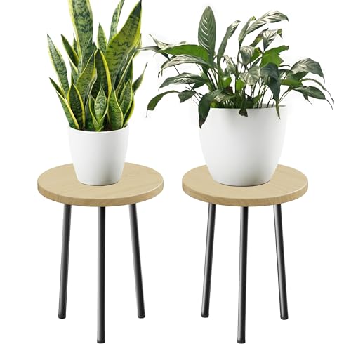 Plant Stand Indoor 2 Pack: Plant Table 14'' Wooden & Metel Plants Stool