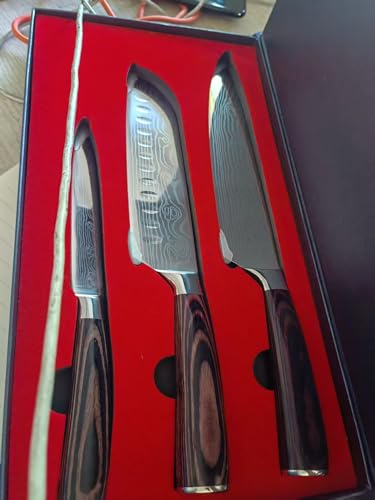 3 Piece Set of Professional Chef Knives, Forged From High Carbon Stainless Steel, with Extremely Sharp Blades and Ergonomic wooden Handles to Meet Various Cutting Needs (Kitchen Knife Set 3 Pcs)