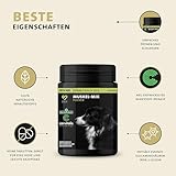 Peticare Muskulatur & Aktiv Pulver-Mix für Hunde | Ergänzungsfuttermittel mit Collagen & Aminosäuren | Unterstützung für Beweglichkeit & Vitalität | für aktive Hunde & Senioren | petDog Health 2503