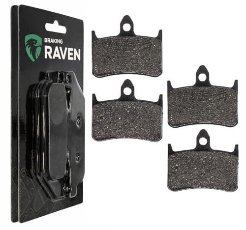 RAVEN Kit Plaquettes de Frein Avant Compatible pour Honda CB 250 Hornet 1996-2001