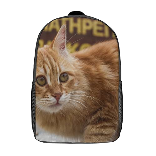 Sac à dos scolaire pour enfants chat 3D grand format pour voyage fille et garçon