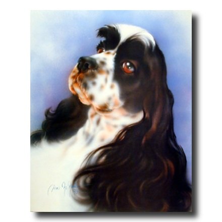 King Charles Springer Spaniel Dog Art Print 16x20
