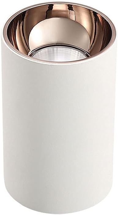BFFGKGL LED Ceiling Spotlight Surface Mounted Spot Light Modern White Bedroom Directional Ceiling Mount Light Fixtures Indoor Kitchen Ceiling Downlight Gallery Picture Lighting For Living Room Foyer