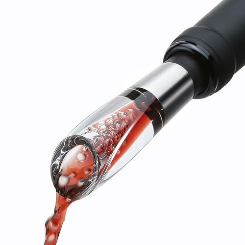 Elegant Wine Aerator