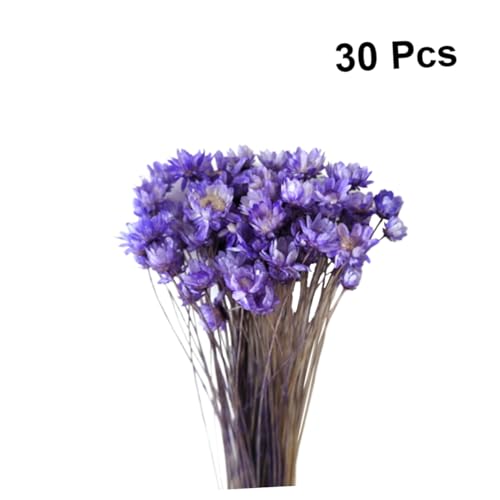 Ramo de 30 flores secas artificiales margaritas moradas miniatura 7