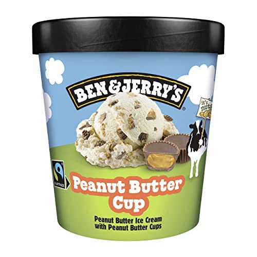 Ben & Jerry's Peanut Butter Cup Ice Cream Tub 465ml